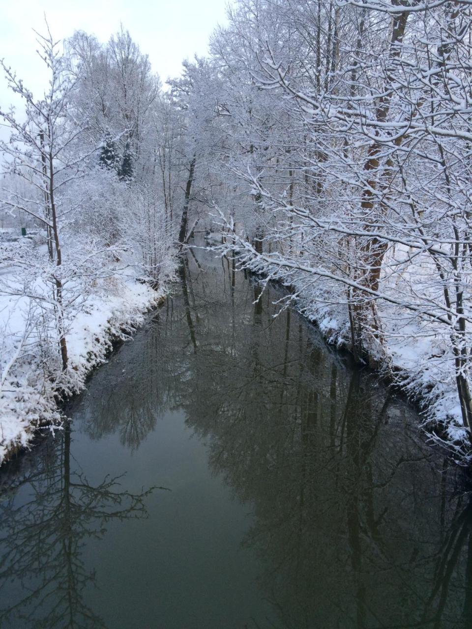 Ferienwohnungen Direkt Am Wasser บวร์ก ภายนอก รูปภาพ