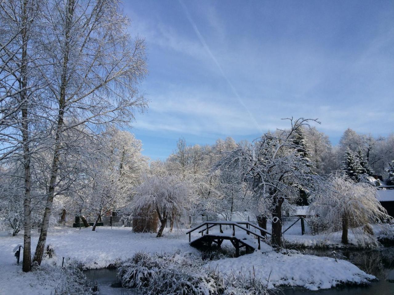 Ferienwohnungen Direkt Am Wasser บวร์ก ภายนอก รูปภาพ